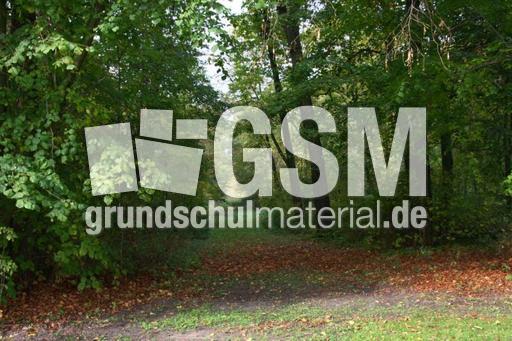 Herbststimmung-23-10-09 046.jpg